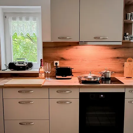 Pleißennest Chemnitz